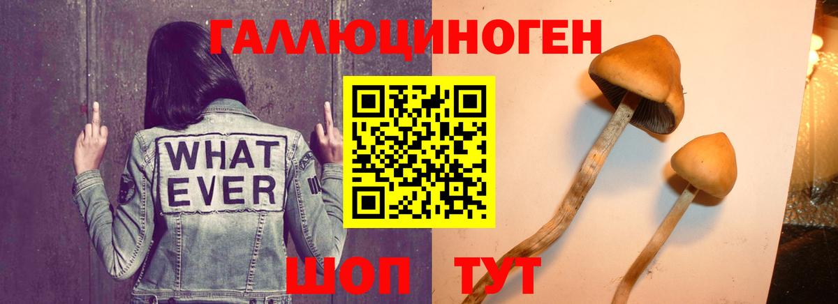 Верхняя Пышма  Галлюциногенные грибы GOLDEN TEACHER  Вход с VPN 